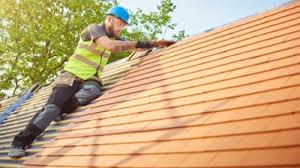 Best Roof Insulation Installation  in The Meadows, FL