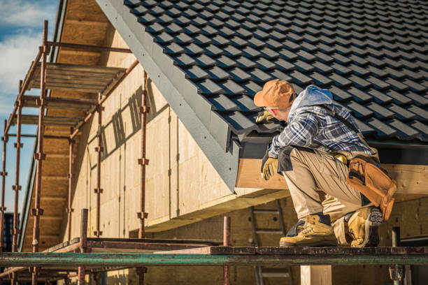 Best Roof Ventilation Installation  in The Meadows, FL
